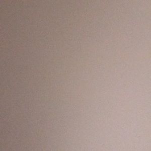 Meet your Posher, Bailey